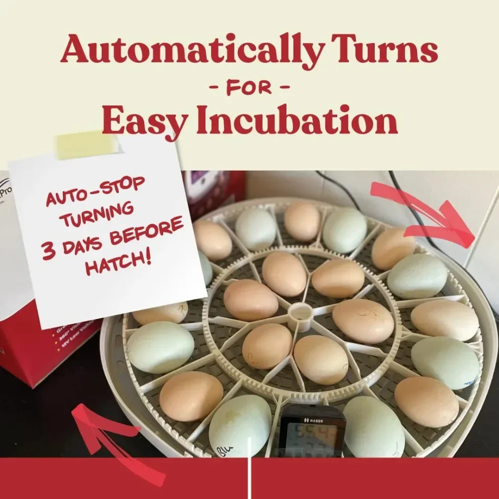 Manna Pro Egg Incubator Holds 22 Eggs